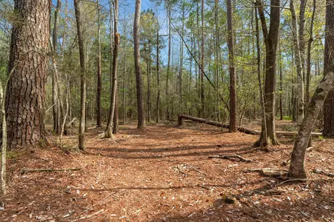 9460 Janice Brooklyn Rd, Brooklyn, MS 39425 photo 9