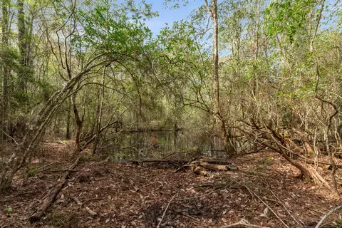 9460 Janice Brooklyn Rd, Brooklyn, MS 39425 photo 10