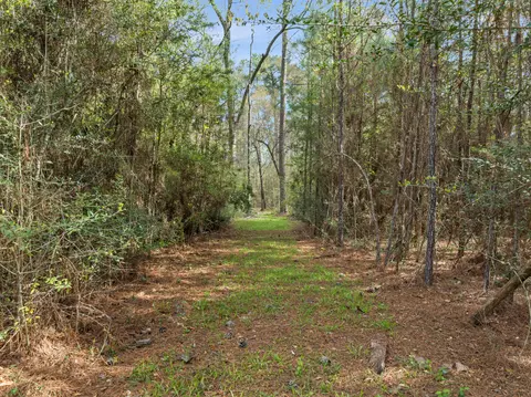 9460 Janice Brooklyn Rd, Brooklyn, MS 39425 photo 5
