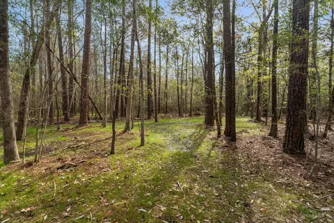 9460 Janice Brooklyn Rd, Brooklyn, MS 39425 photo 12