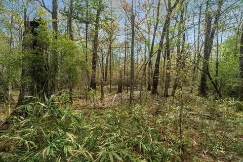 9460 Janice Brooklyn Rd, Brooklyn, MS 39425 photo 6