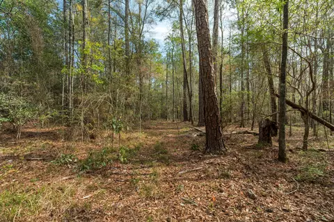 9460 Janice Brooklyn Rd, Brooklyn, MS 39425 photo 7