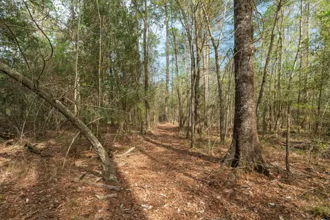 9460 Janice Brooklyn Rd, Brooklyn, MS 39425 photo 8