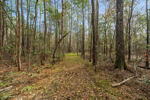 9460 Janice Brooklyn Rd, Brooklyn, MS 39425 photo 11