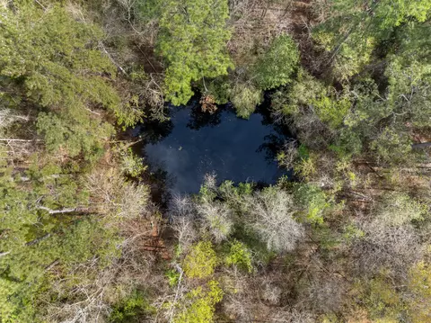 9460 Janice Brooklyn Rd, Brooklyn, MS 39425 photo 17