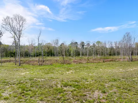 0 Scruggs Rd, Hattiesburg, MS 39482 photo 4