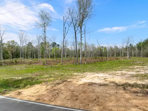 0 Scruggs Rd, Hattiesburg, MS 39482 photo 3
