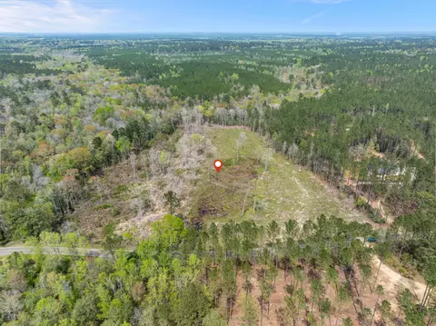 0 Scruggs Rd, Hattiesburg, MS 39482 photo 10