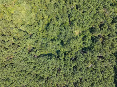 40 Acres Hwy 588, Collins, MS 39428 photo 6