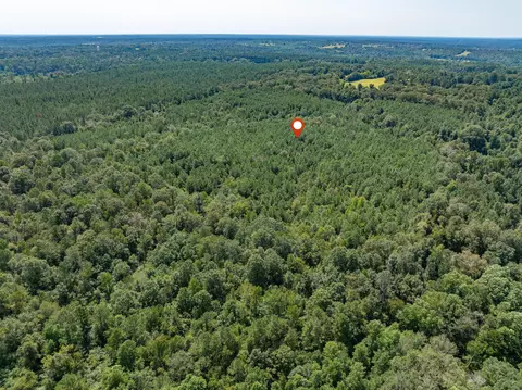 40 Acres Hwy 588, Collins, MS 39428 photo 10