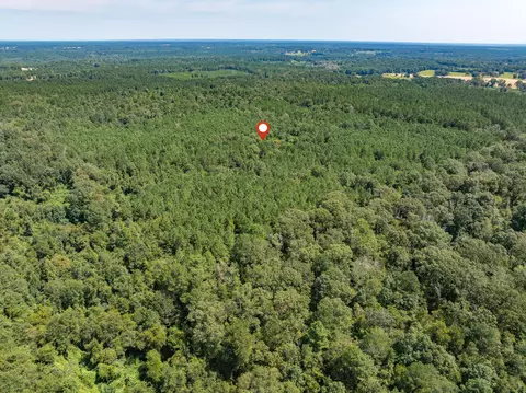 40 Acres Hwy 588, Collins, MS 39428 photo 17