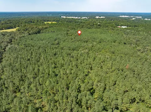 40 Acres Hwy 588, Collins, MS 39428 photo 12