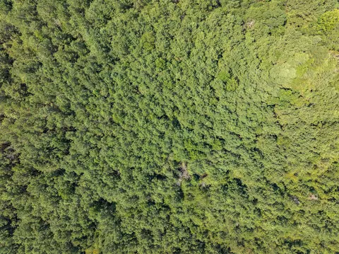 40 Acres Hwy 588, Collins, MS 39428 photo 8
