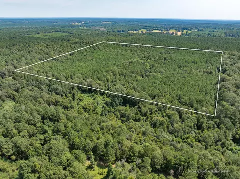 40 Acres Hwy 588, Collins, MS 39428 photo 3