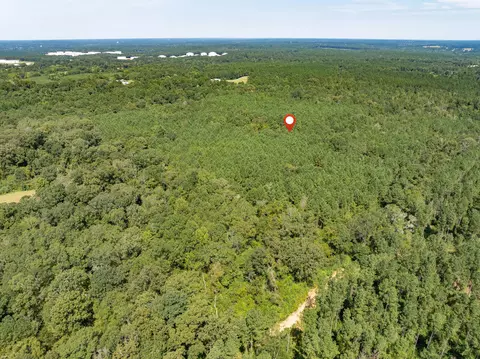40 Acres Hwy 588, Collins, MS 39428 photo 14