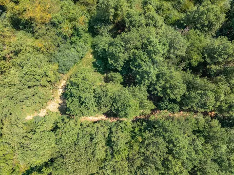 40 Acres Hwy 588, Collins, MS 39428 photo 7