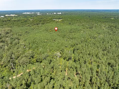 40 Acres Hwy 588, Collins, MS 39428 photo 13