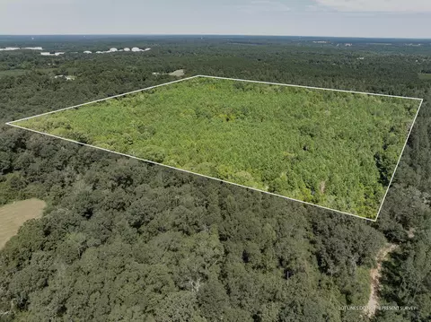 40 Acres Hwy 588, Collins, MS 39428 photo 2