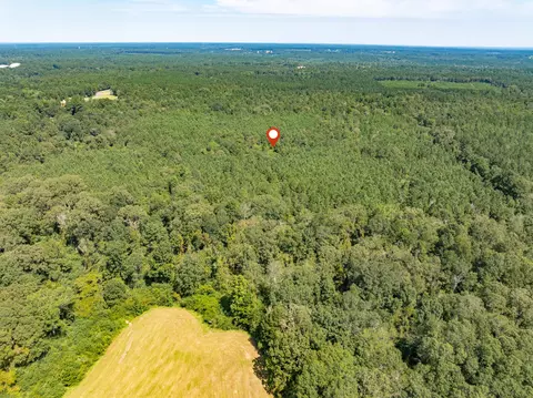 40 Acres Hwy 588, Collins, MS 39428 photo 15