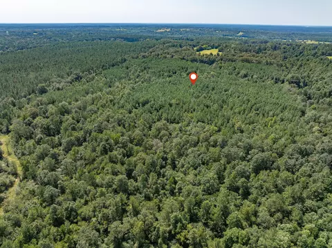 40 Acres Hwy 588, Collins, MS 39428 photo 11