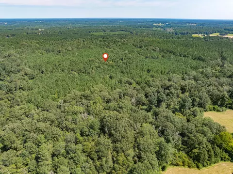 40 Acres Hwy 588, Collins, MS 39428 photo 16