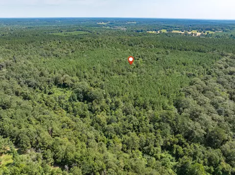 40 Acres Hwy 588, Collins, MS 39428 photo 18