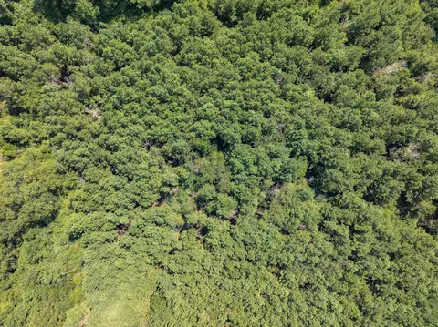 40 Acres Hwy 588, Collins, MS 39428 photo 5