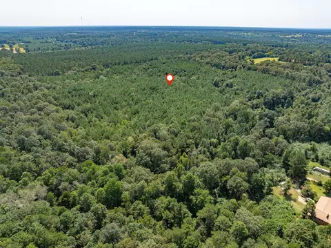 40 Acres Hwy 588, Collins, MS 39428 photo 9