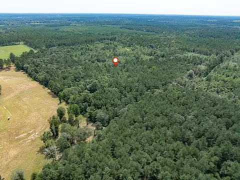 40 Acres Sons Ln, Mount Olive, MS 39119 photo 19