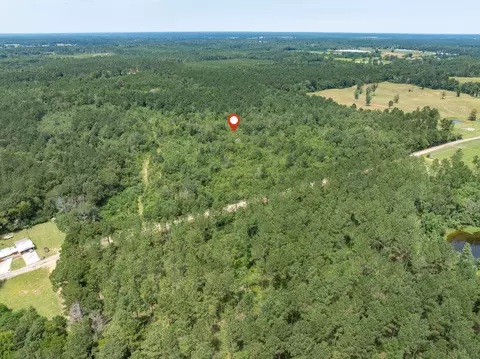 40 Acres Sons Ln, Mount Olive, MS 39119 photo 14