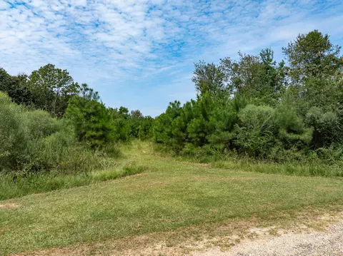 40 Acres Sons Ln, Mount Olive, MS 39119 photo 6