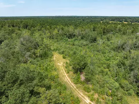 40 Acres Sons Ln, Mount Olive, MS 39119 photo 8
