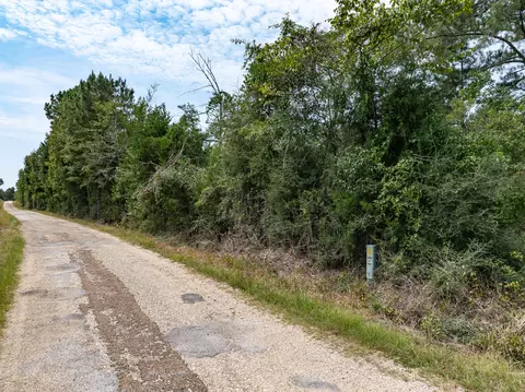 40 Acres Sons Ln, Mount Olive, MS 39119 photo 4