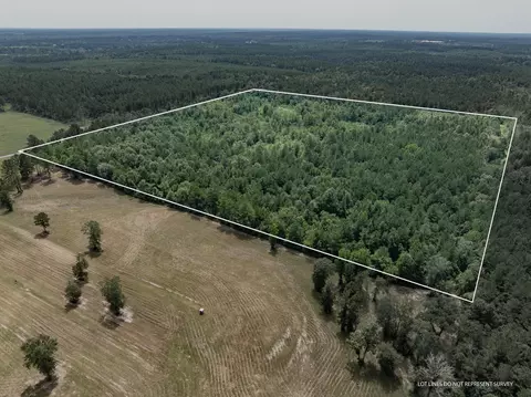 40 Acres Sons Ln, Mount Olive, MS 39119 photo 2