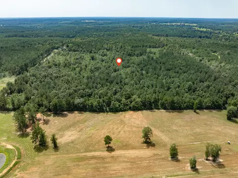 40 Acres Sons Ln, Mount Olive, MS 39119 photo 20