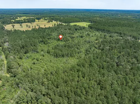 40 Acres Sons Ln, Mount Olive, MS 39119 photo 16
