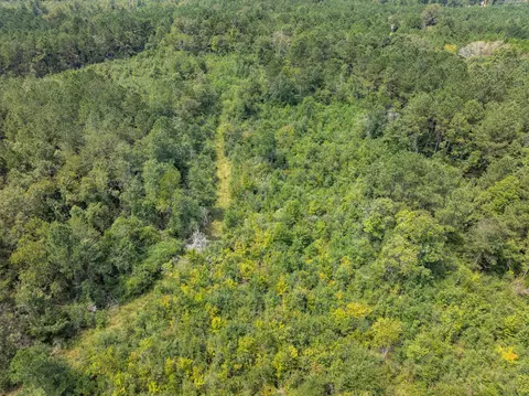 40 Acres Sons Ln, Mount Olive, MS 39119 photo 10