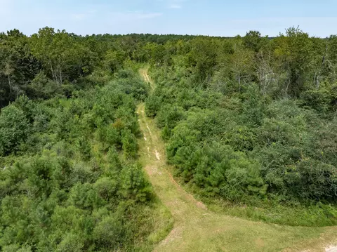 40 Acres Sons Ln, Mount Olive, MS 39119 photo 7