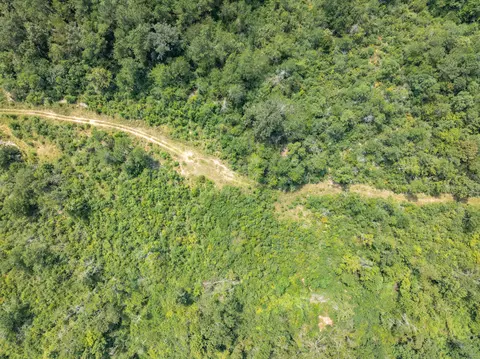 40 Acres Sons Ln, Mount Olive, MS 39119 photo 13