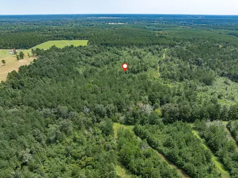 40 Acres Sons Ln, Mount Olive, MS 39119 photo 18