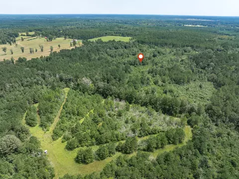 40 Acres Sons Ln, Mount Olive, MS 39119 photo 17