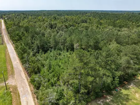 40 Acres Sons Ln, Mount Olive, MS 39119 photo 9