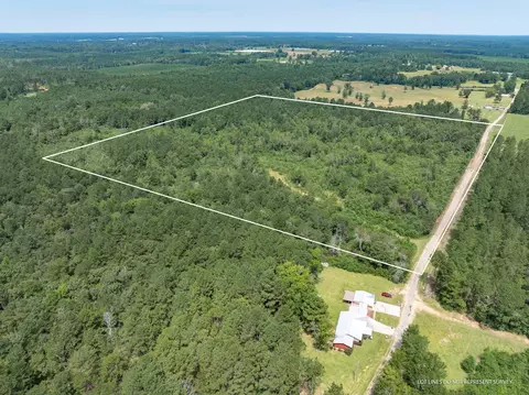 40 Acres Sons Ln, Mount Olive, MS 39119 photo 3