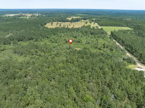 40 Acres Sons Ln, Mount Olive, MS 39119 photo 15
