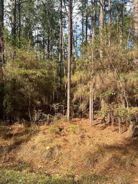 0 Magnolia Ln, Poplarville, MS 39470