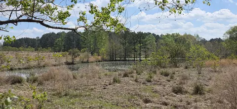 0 Butler Rd, Petal, MS 39465