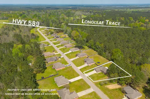 59 Hemingway Dr, Sumrall, MS 39482 photo 21