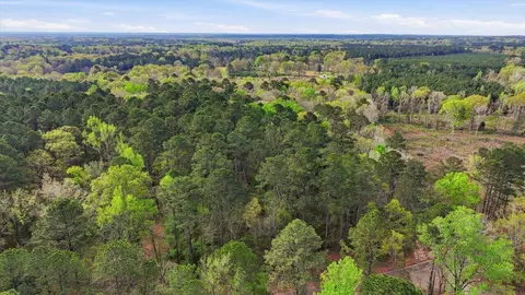 0 Harrisville Braxton, Braxton, MS 39044 photo 24