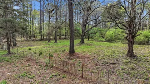 0 Harrisville Braxton, Braxton, MS 39044 photo 30