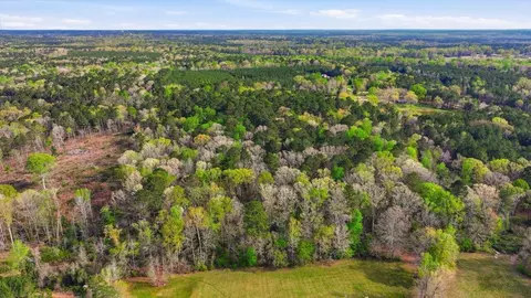 0 Harrisville Braxton, Braxton, MS 39044 photo 10